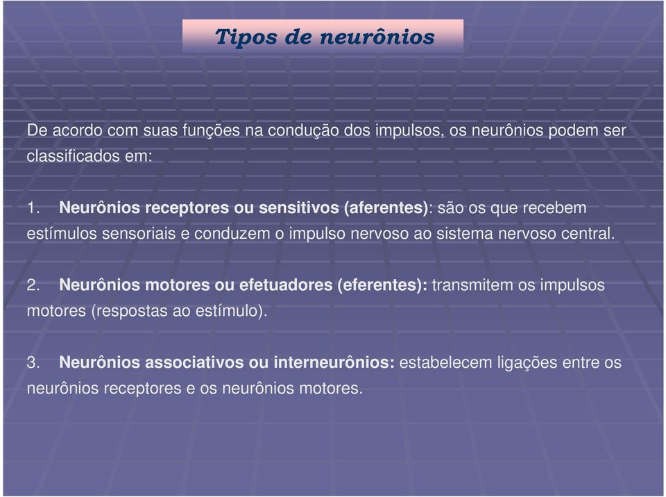 sistema nervoso central. 2.