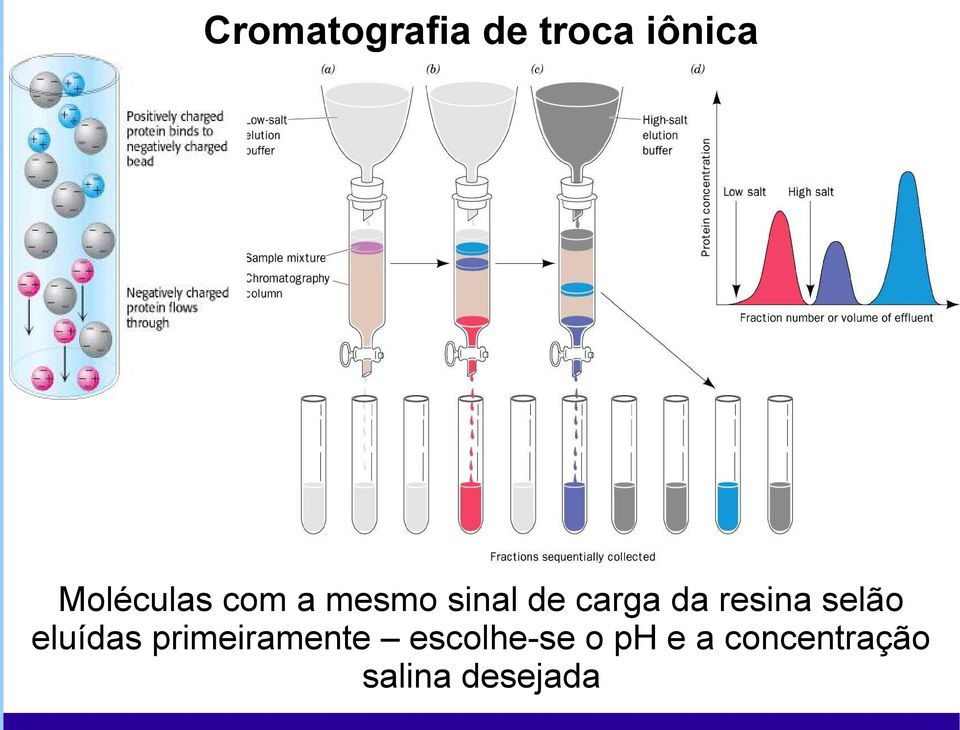 da resina selão eluídas primeiramente