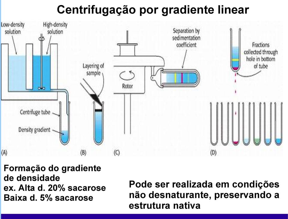 20% sacarose Baixa d.