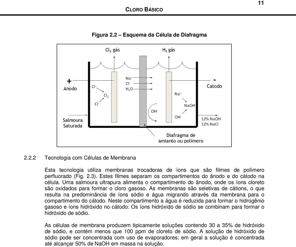 As membranas são seletivas de cátions, o que resulta na predominância de íons sódio e água migrando através da membrana para o compartimento do cátodo.