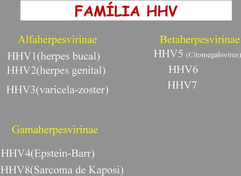 Betaherpesvirinae HHV5 (Citomegalovirus) HHV6 HHV7