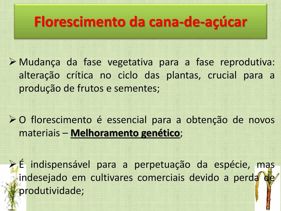 essencial para a obtenção de novos materiais Melhoramento genético; É indispensável para a