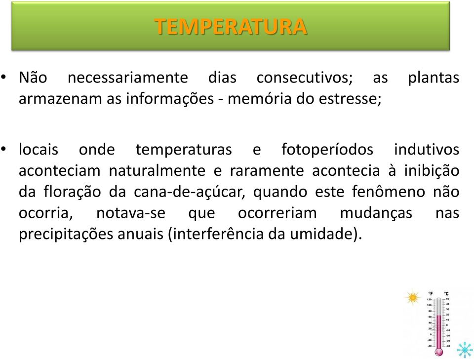 naturalmente e raramente acontecia à inibição da floração da cana-de-açúcar, quando este