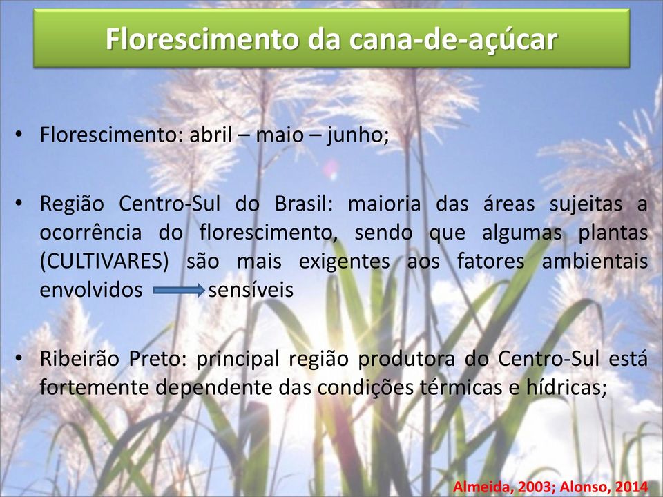plantas (CULTIVARES) são mais exigentes aos fatores ambientais envolvidos sensíveis Ribeirão Preto: