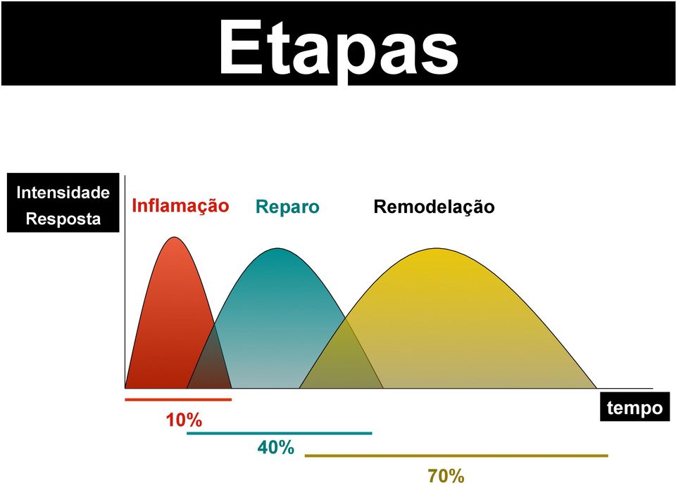 Inflamação Reparo