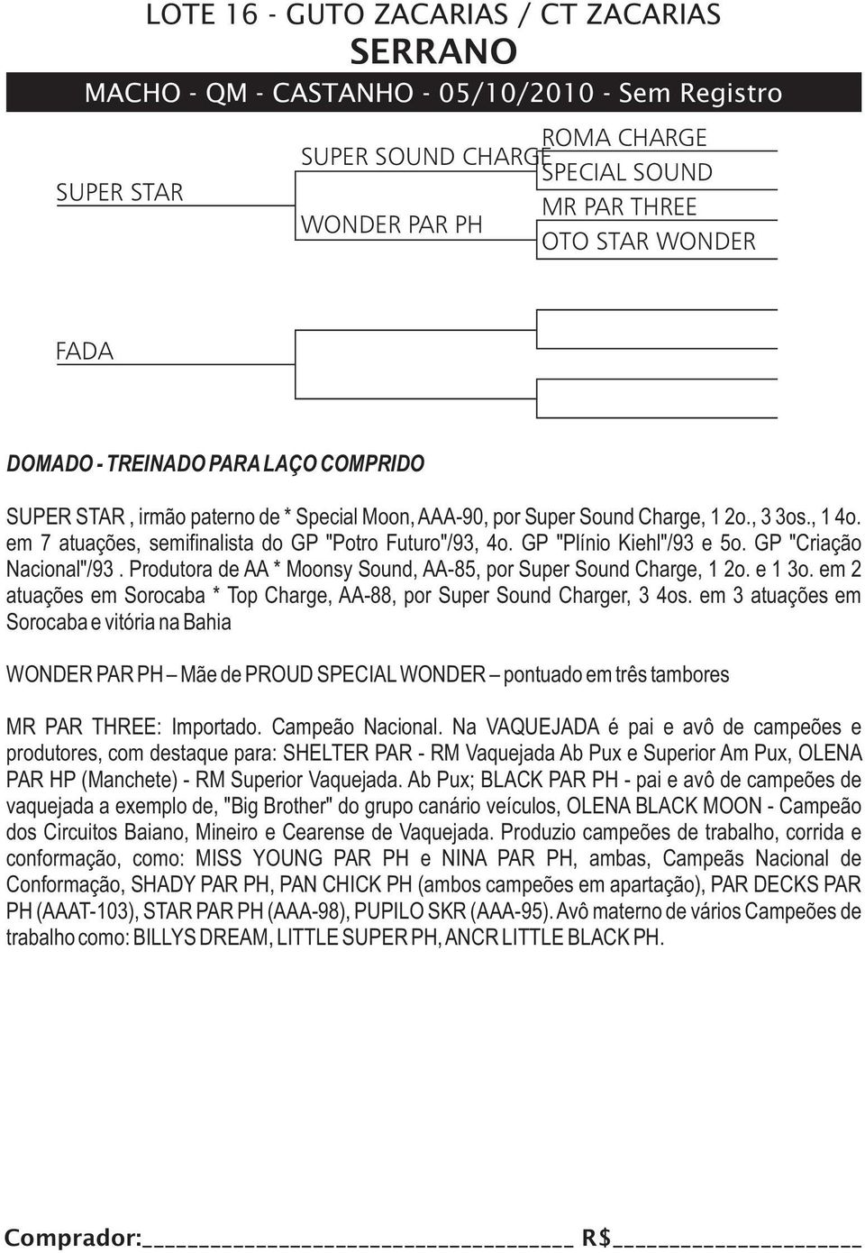 GP "Plínio Kiehl"/93 e 5o. GP "Criação Nacional"/93. Produtora de AA * Moonsy Sound, AA-85, por Super Sound Charge, 1 2o. e 1 3o.