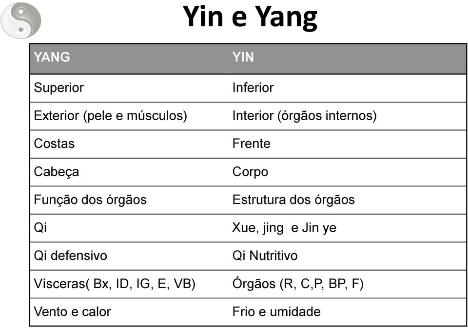 internos) Frente Corpo Estrutura dos órgãos Xue, jing e Jin ye Qi