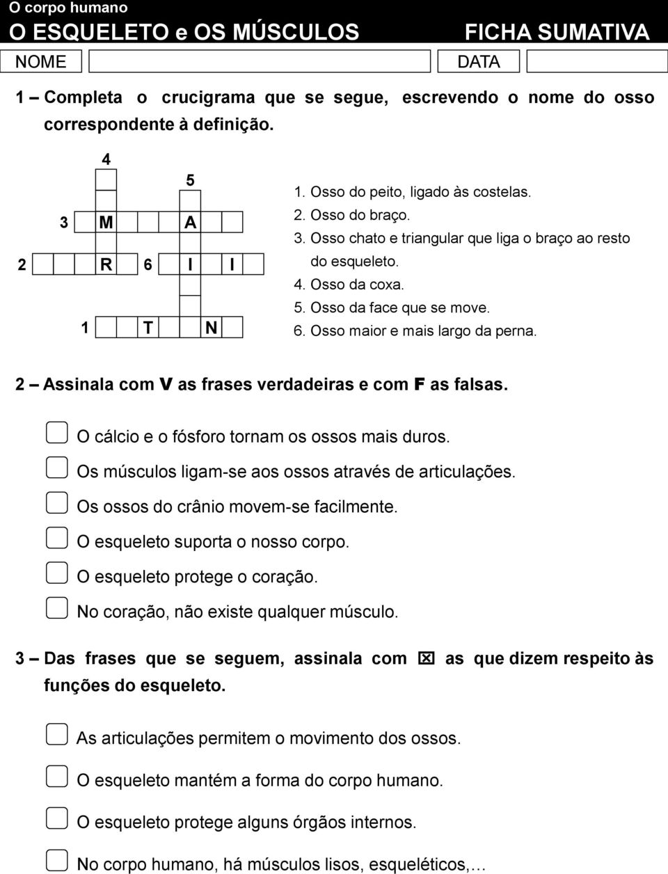 2 Assinala com V as frases verdadeiras e com F as falsas. O cálcio e o fósforo tornam os ossos mais duros. Os músculos ligam-se aos ossos através de articulações.