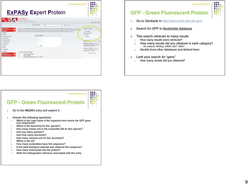 Limit your search for gene 1. How many results did you obtained? GFP - Green Fluorescent Protein 1. Go to the M62653 entry and explore it. 1. Answer the following questions: 1.