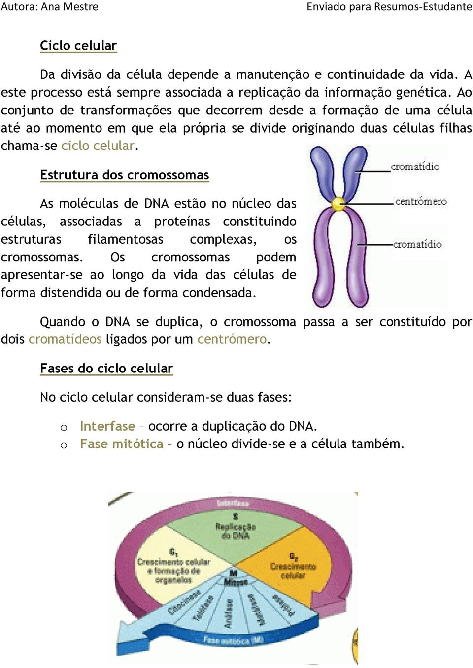 Estrutura dos cromossomas As moléculas de DNA estão no núcleo das células, associadas a proteínas constituindo estruturas filamentosas complexas, os cromossomas.