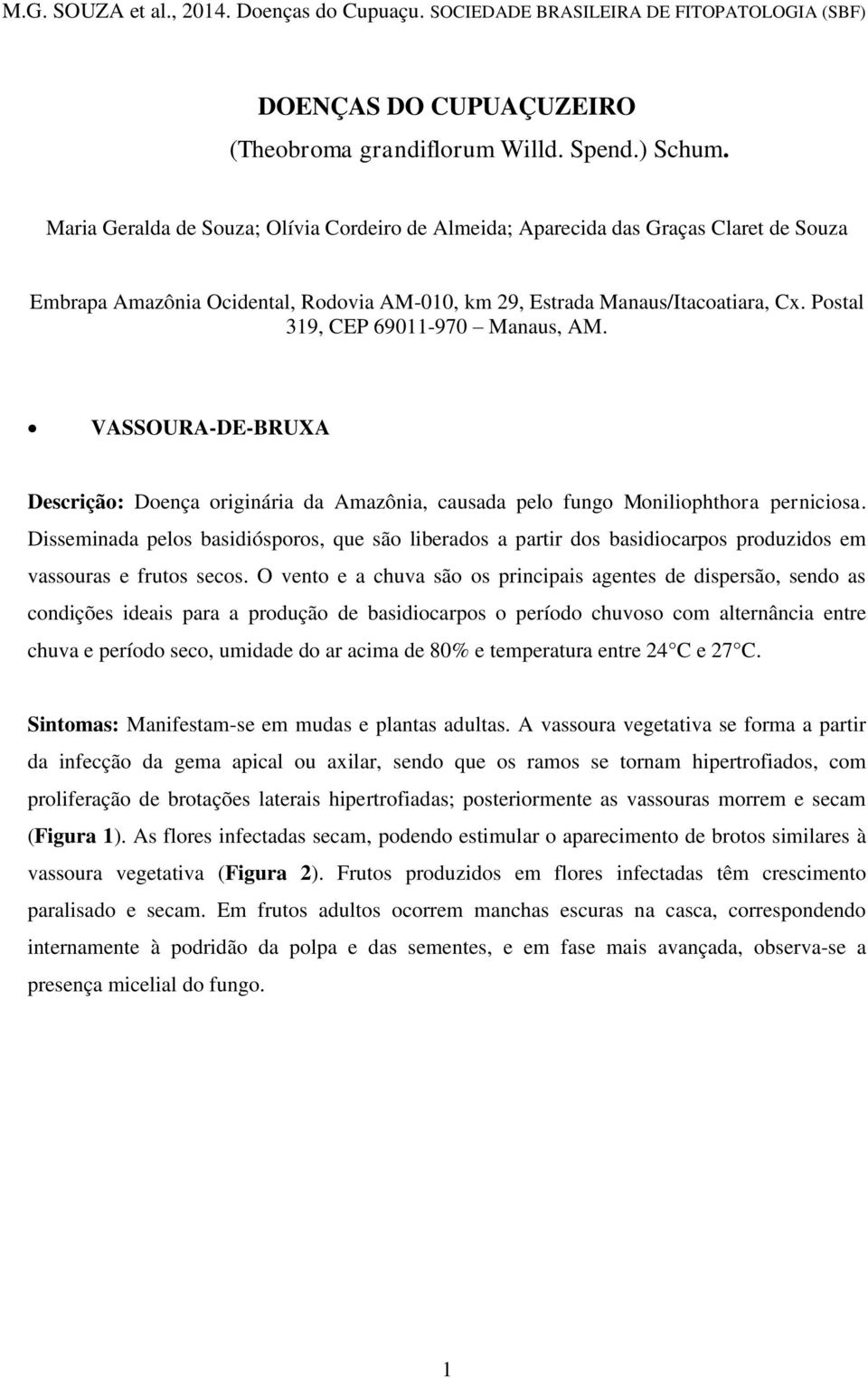 Postal 319, CEP 69011-970 Manaus, AM. VASSOURA-DE-BRUXA Descrição: Doença originária da Amazônia, causada pelo fungo Moniliophthora perniciosa.