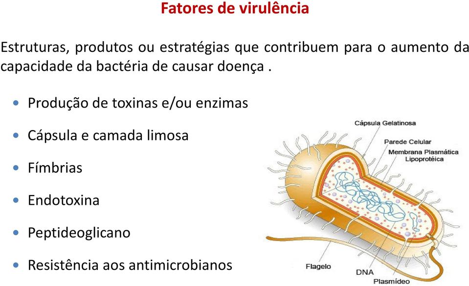 antimicrobianos Fatores de virulência Estruturas, produtos ou
