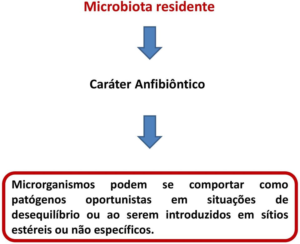 oportunistas em situações de desequilíbrio ou ao