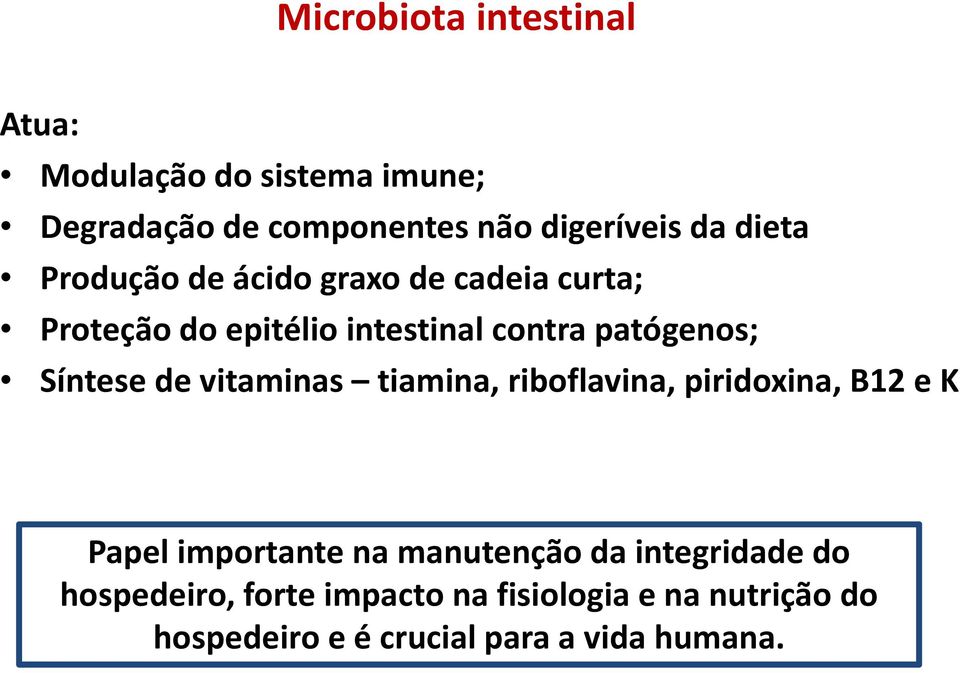 Síntese de vitaminas tiamina, riboflavina, piridoxina, B12 e K Papel importante na manutenção da