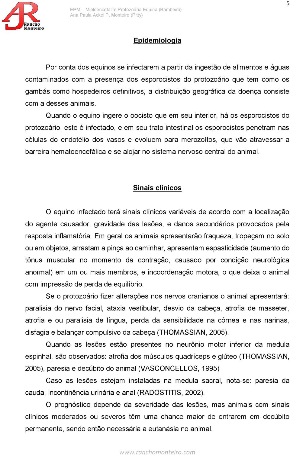 Quando o equino ingere o oocisto que em seu interior, há os esporocistos do protozoário, este é infectado, e em seu trato intestinal os esporocistos penetram nas células do endotélio dos vasos e