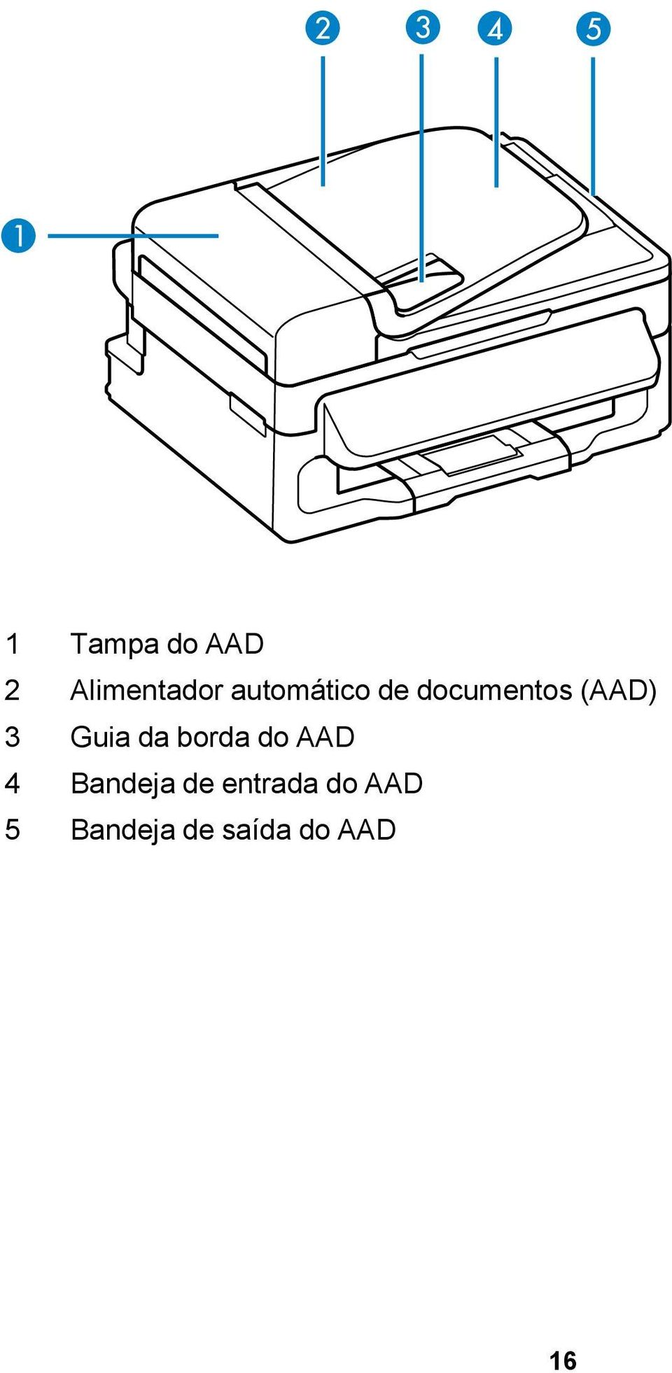 Guia da borda do AAD 4 Bandeja de