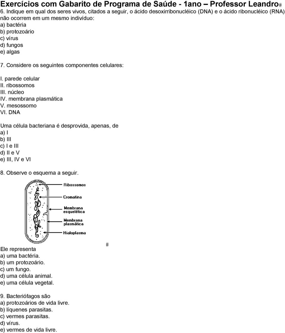 DNA Uma célula bacteriana é desprovida, apenas, de a) I b) III c) I e III d) II e V e) III, IV e VI 8. Observe o esquema a seguir. Ele representa a) uma bactéria.