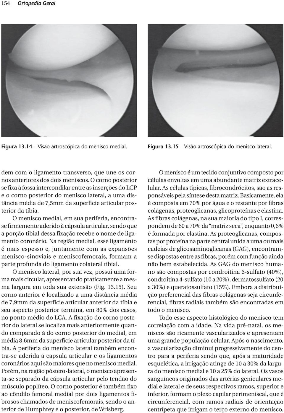 O corno posterior se fixa à fossa intercondilar entre as inserções do LCP e o corno posterior do menisco lateral, a uma distância média de 7,5mm da superfície articular posterior da tíbia.