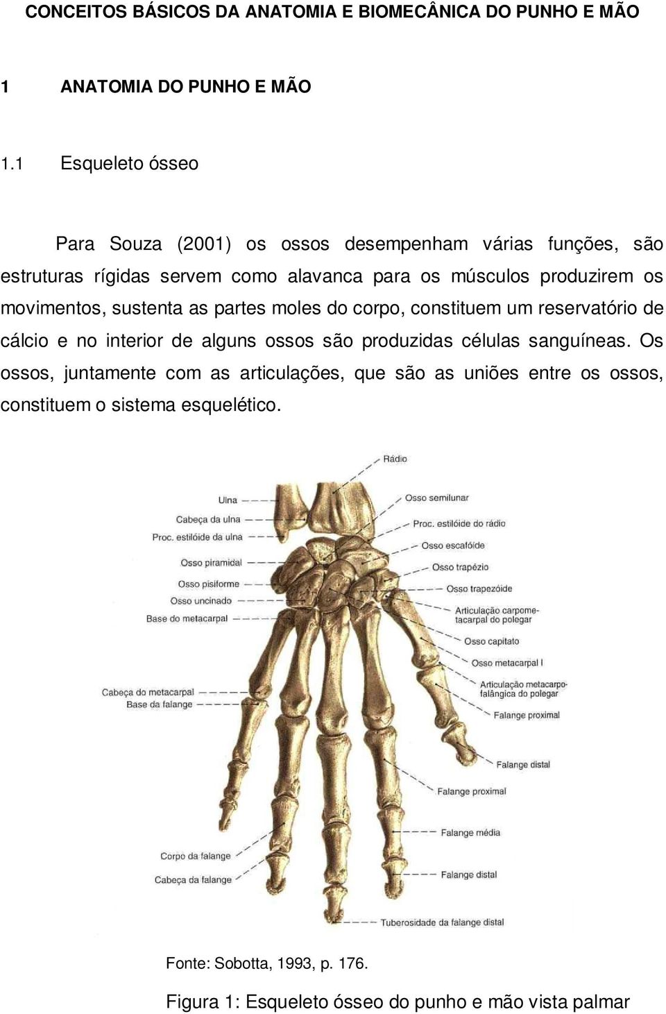 os movimentos, sustenta as partes moles do corpo, constituem um reservatório de cálcio e no interior de alguns ossos são produzidas células