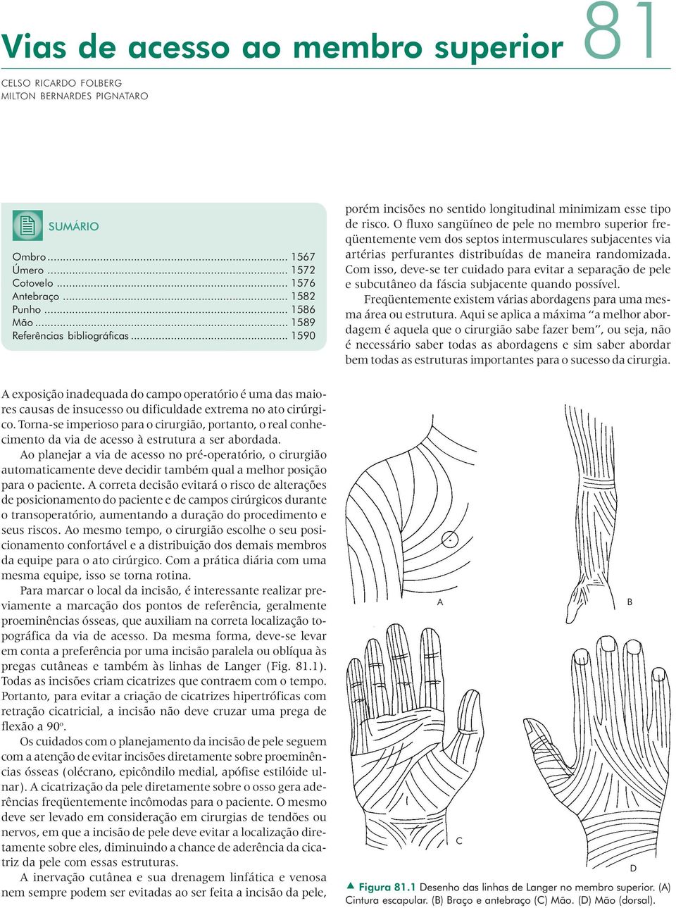 O fluxo sangüíneo de pele no membro superior freqüentemente vem dos septos intermusculares subjacentes via artérias perfurantes distribuídas de maneira randomizada.