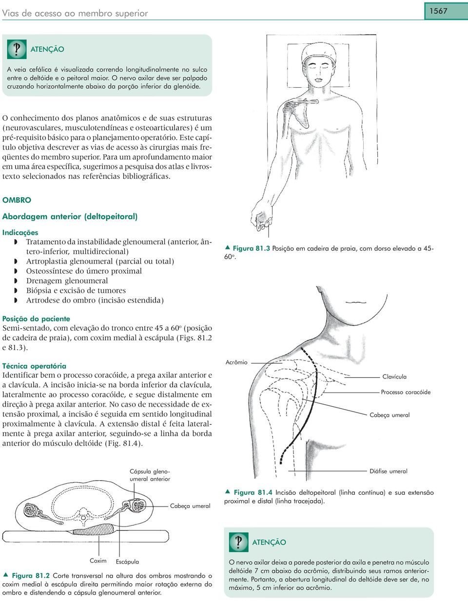 O conhecimento dos planos anatômicos e de suas estruturas (neurovasculares, musculotendíneas e osteoarticulares) é um pré-requisito básico para o planejamento operatório.