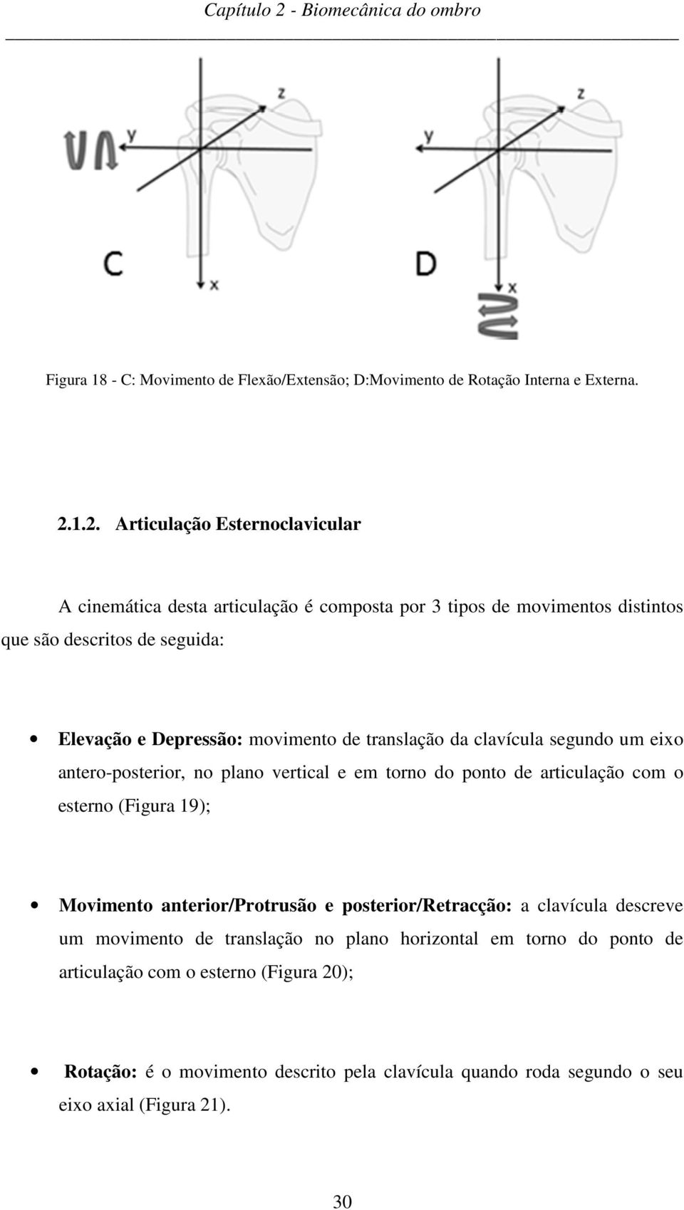 movimento de translação da clavícula segundo um eixo antero-posterior, no plano vertical e em torno do ponto de articulação com o esterno (Figura 19); Movimento