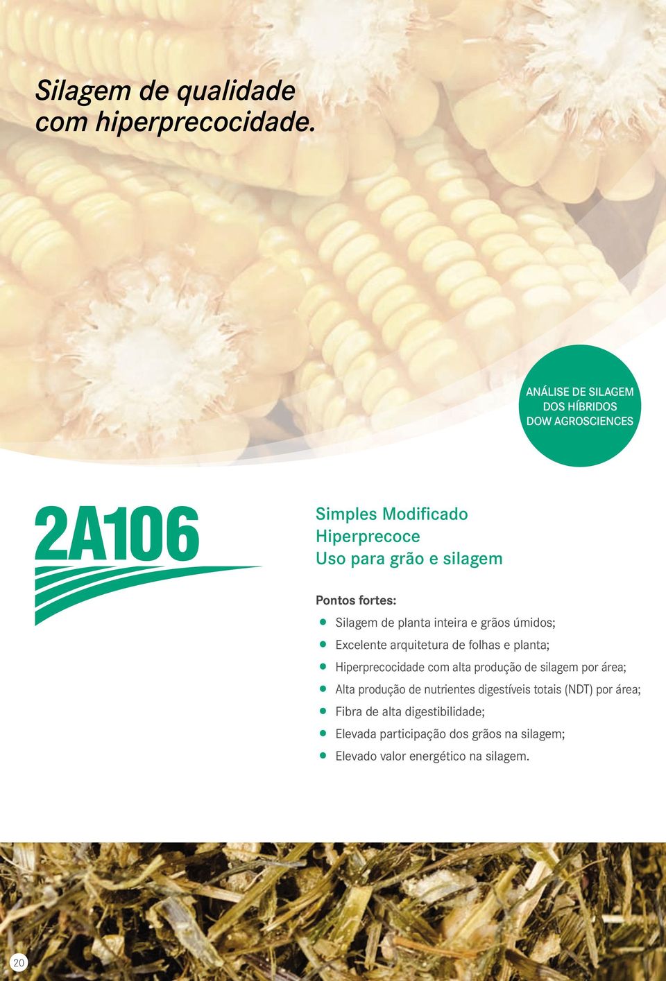 Silagem de planta inteira e grãos úmidos; Excelente arquitetura de folhas e planta; Hiperprecocidade com alta produção de