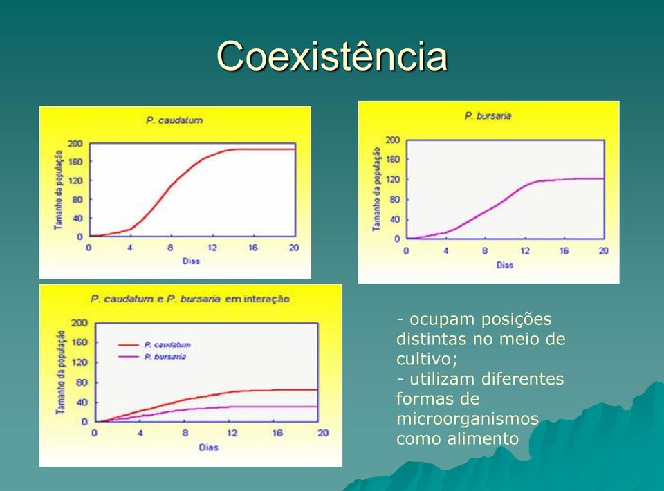 - utilizam diferentes formas