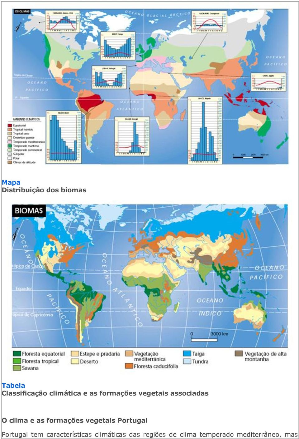 as formações vegetais Portugal Portugal tem