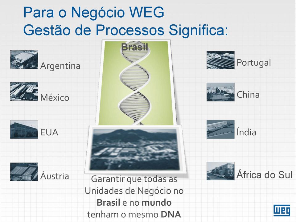 Áustria Garantir que todas as Unidades de Negócio