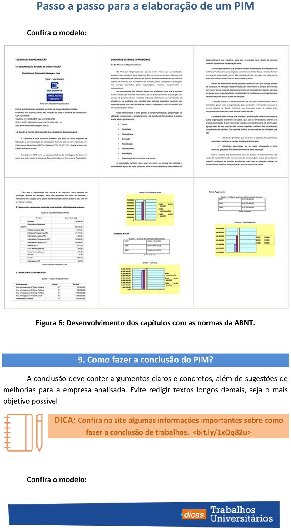 empresa analisada. Evite redigir textos longos demais, seja o mais objetivo possível.