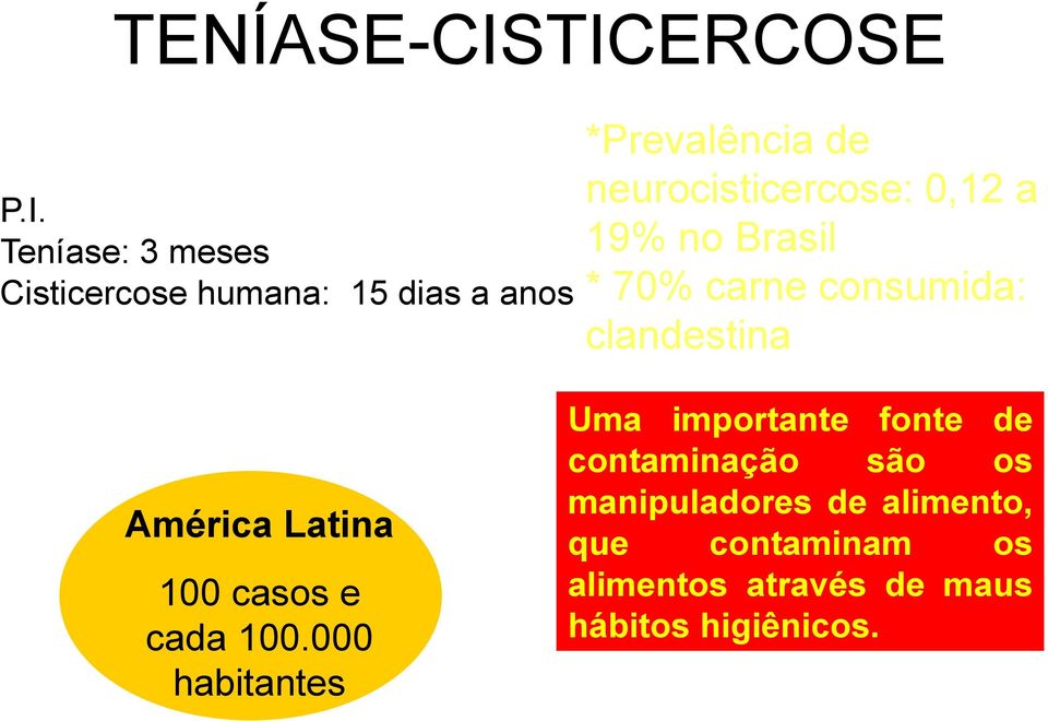 neurocisticercose: 0,12 a 19% no Brasil * 70% carne consumida: clandestina cisticercose humana América
