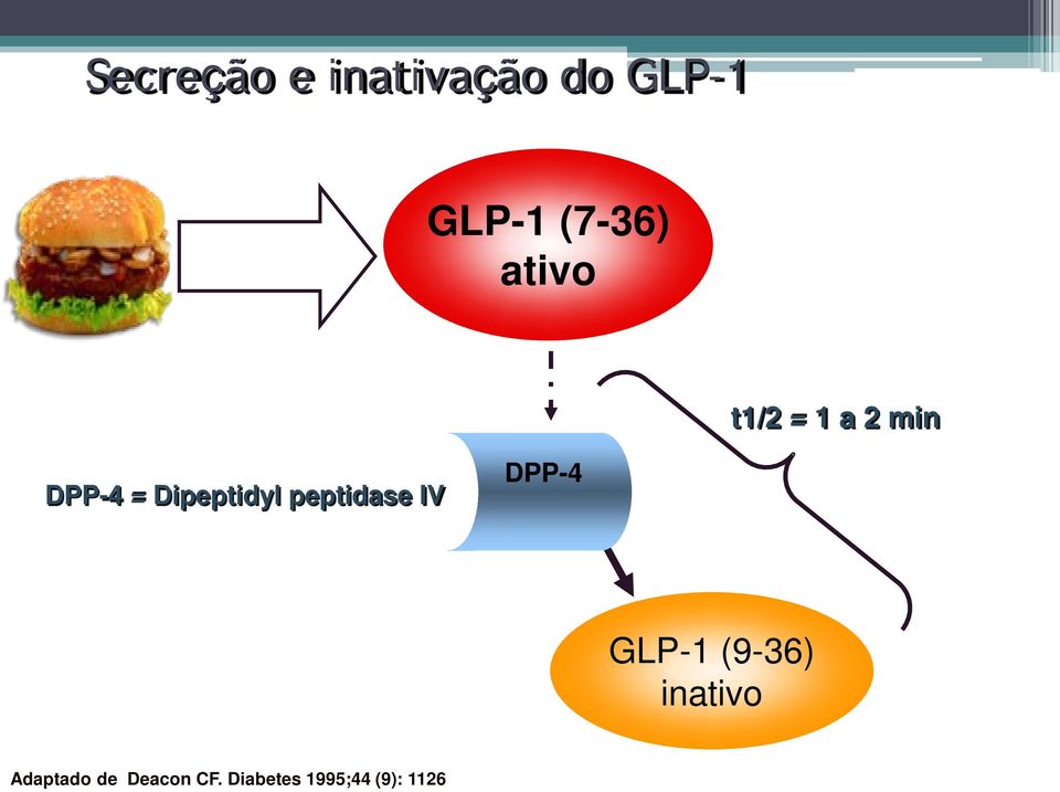 Dipeptidyl peptidase IV DPP-4 GLP-1 (9-36)
