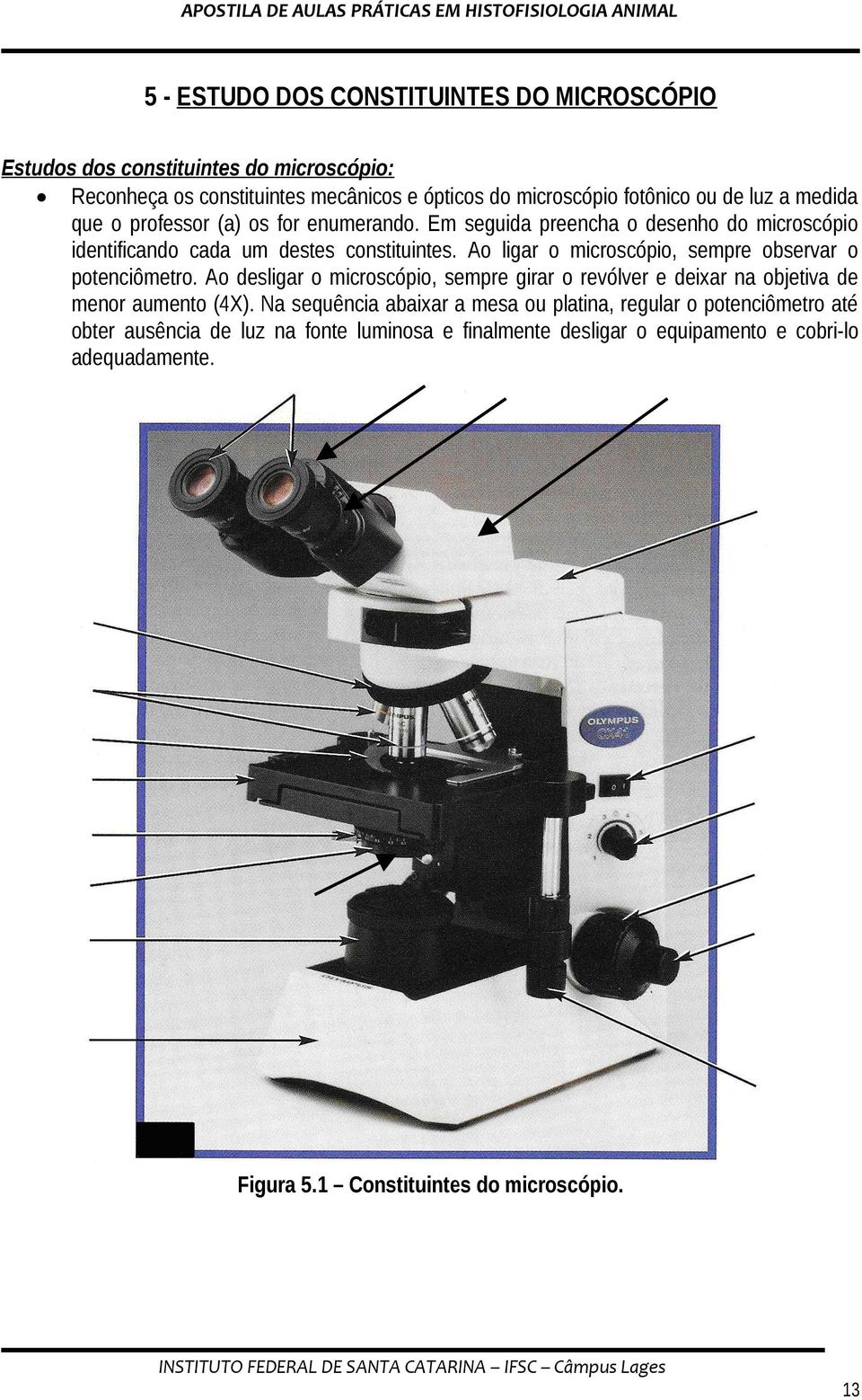 Ao ligar o microscópio, sempre observar o potenciômetro. Ao desligar o microscópio, sempre girar o revólver e deixar na objetiva de menor aumento (4X).