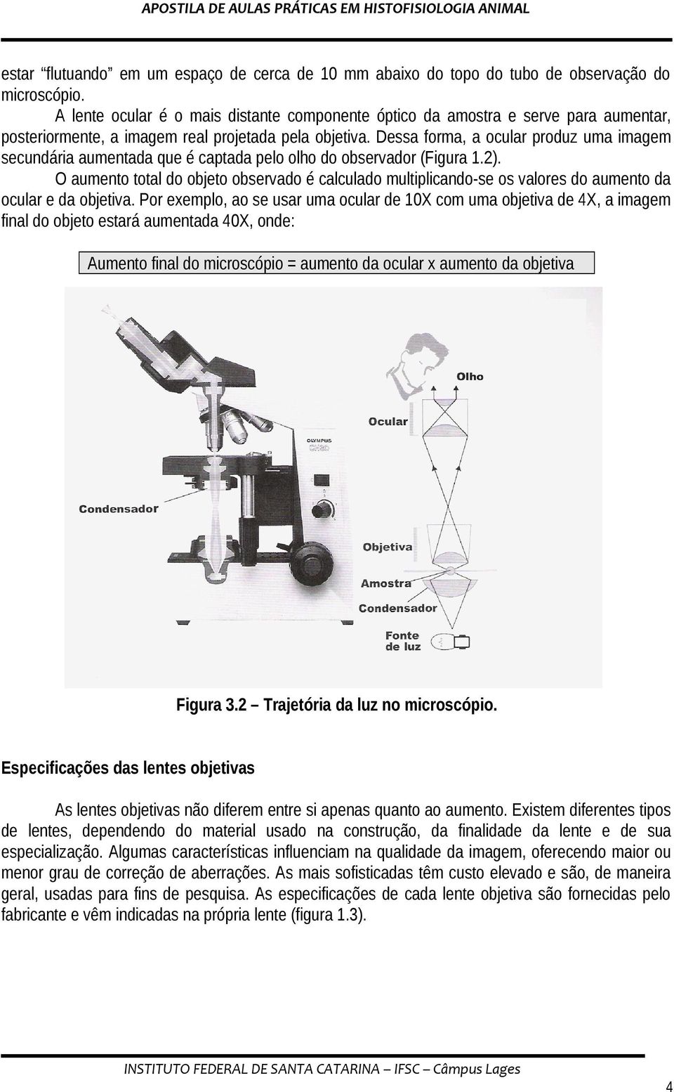 Dessa forma, a ocular produz uma imagem secundária aumentada que é captada pelo olho do observador (Figura 1.2).