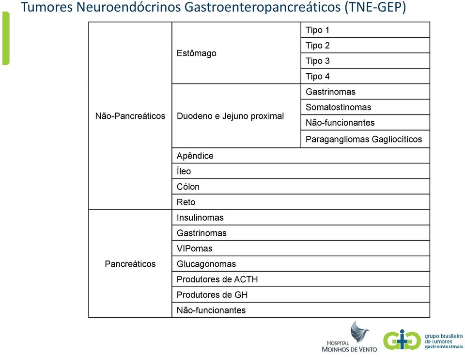 Gastrinomas VIPomas Glucagonomas Produtores de ACTH Produtores de GH Não-funcionantes
