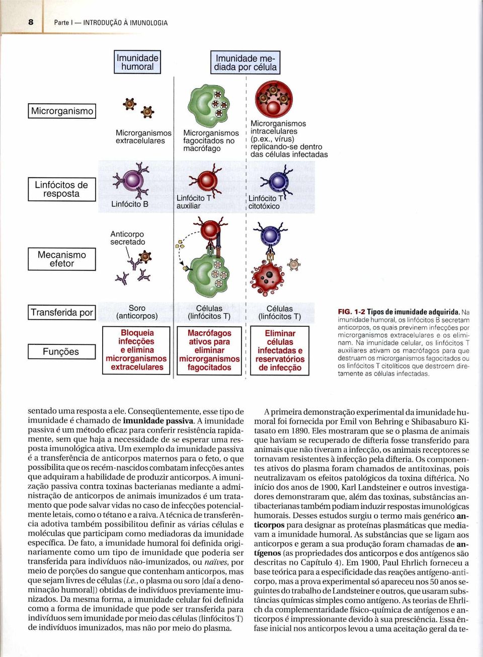 Funções Soro (anticorpos) Bloqueia infecções e elimina microrganismos extracelulares Células (linfócitos T) Macrófagos ativos para eliminar microrganismos fagocitados Células (linfócitos T) Eliminar