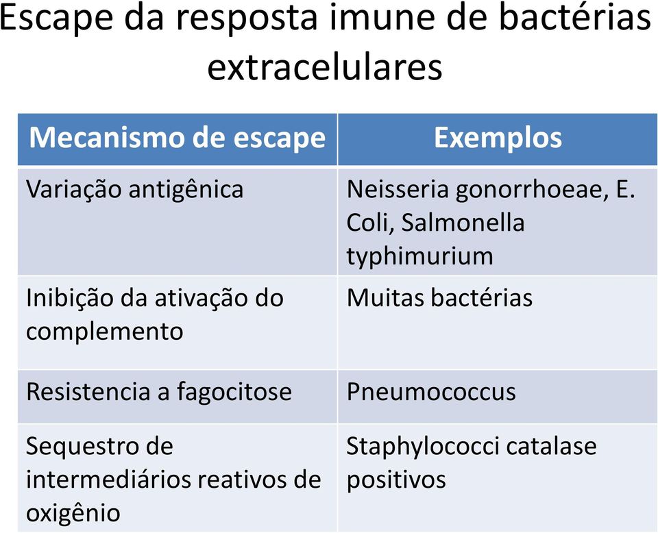 Coli, Salmonella typhimurium Inibição da ativação do complemento Muitas bactérias