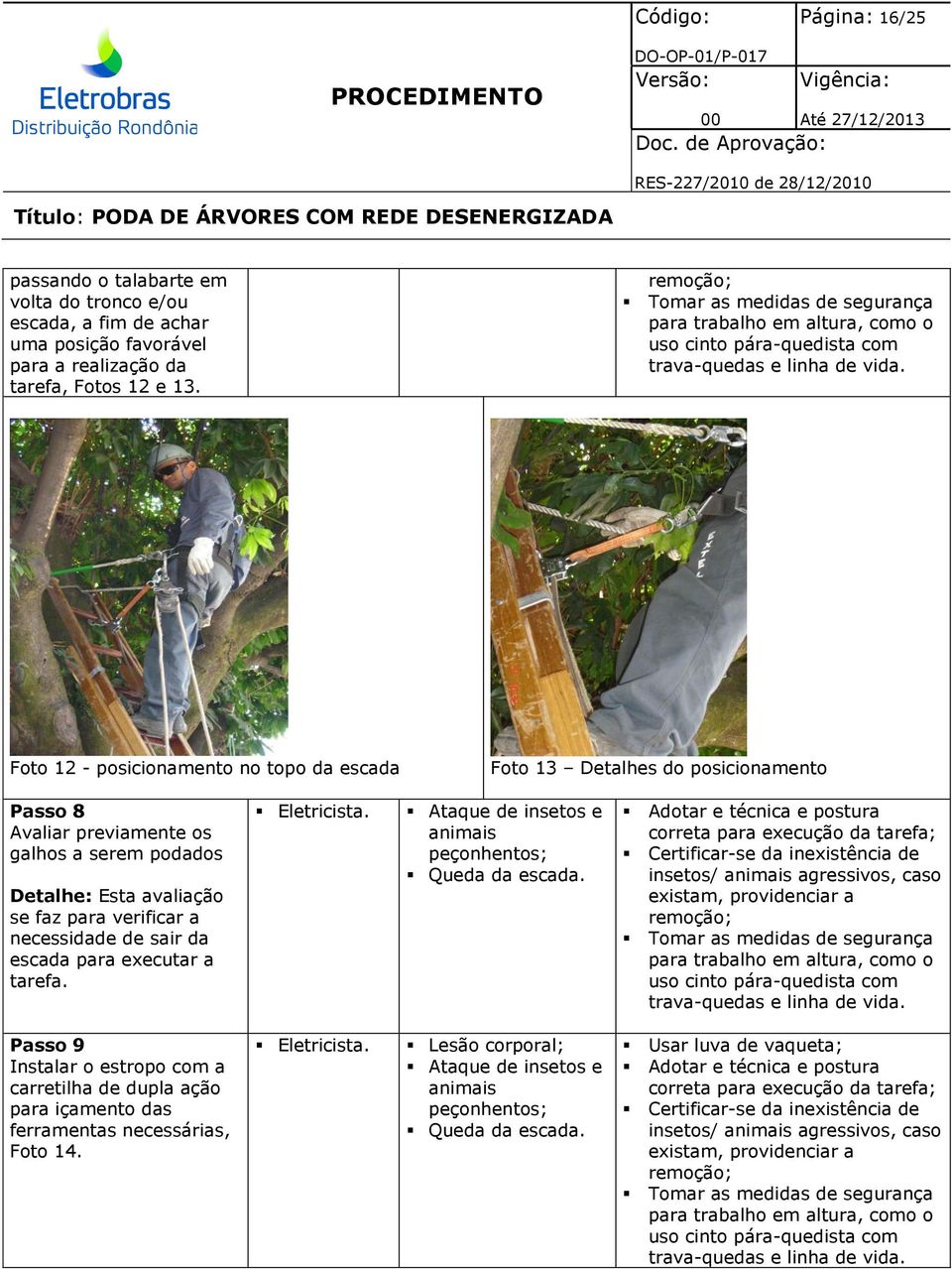 Foto 12 - posicionamento no topo da escada Foto 13 Detalhes do posicionamento Passo 8 Avaliar previamente os galhos a serem podados Detalhe: Esta avaliação se faz para verificar a necessidade de sair