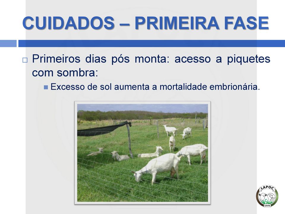 acesso a piquetes com sombra: