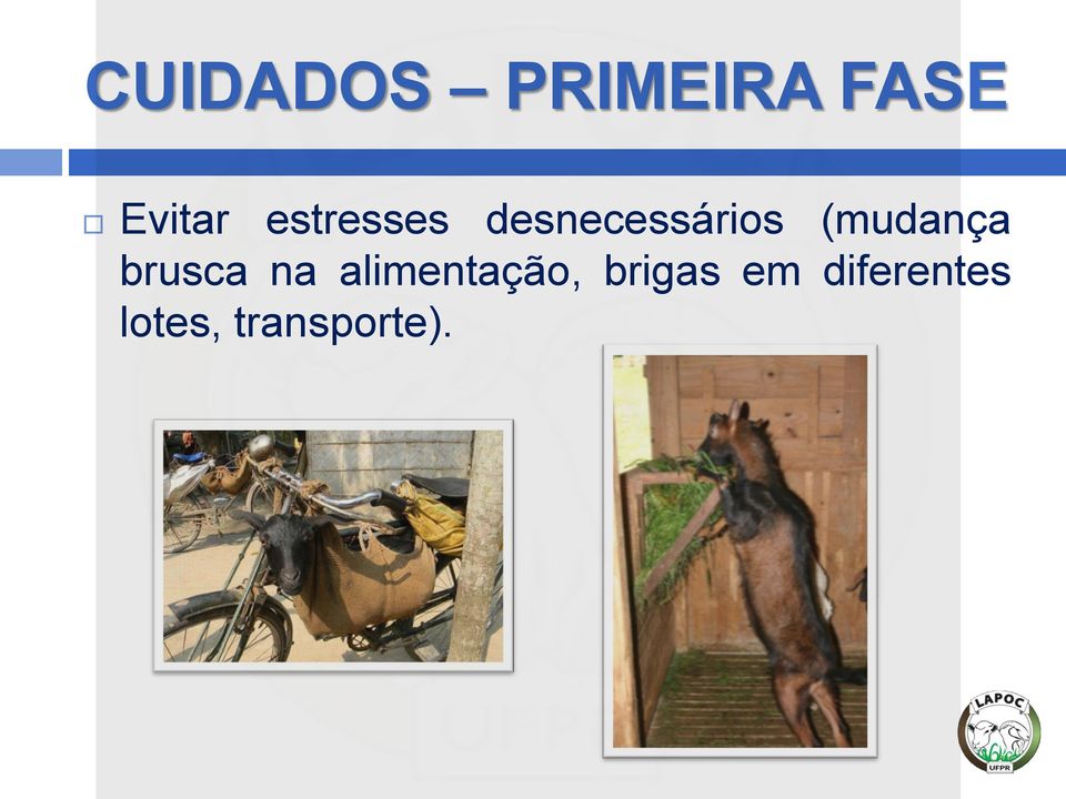 (mudança brusca na alimentação,