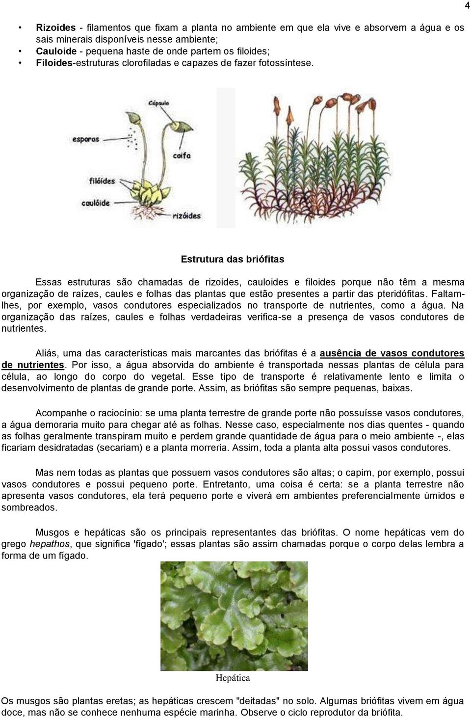 4 Estrutura das briófitas Essas estruturas são chamadas de rizoides, cauloides e filoides porque não têm a mesma organização de raízes, caules e folhas das plantas que estão presentes a partir das