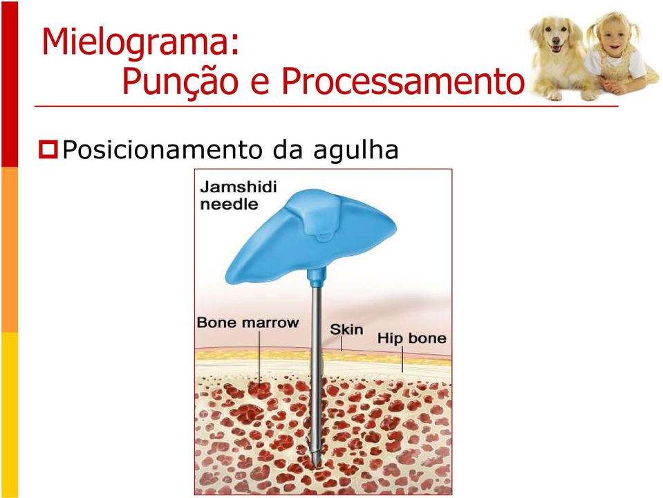 Processamento