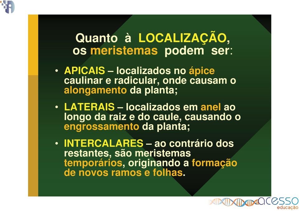 longo da raiz e do caule, causando o engrossamento da planta; INTERCALARES ao