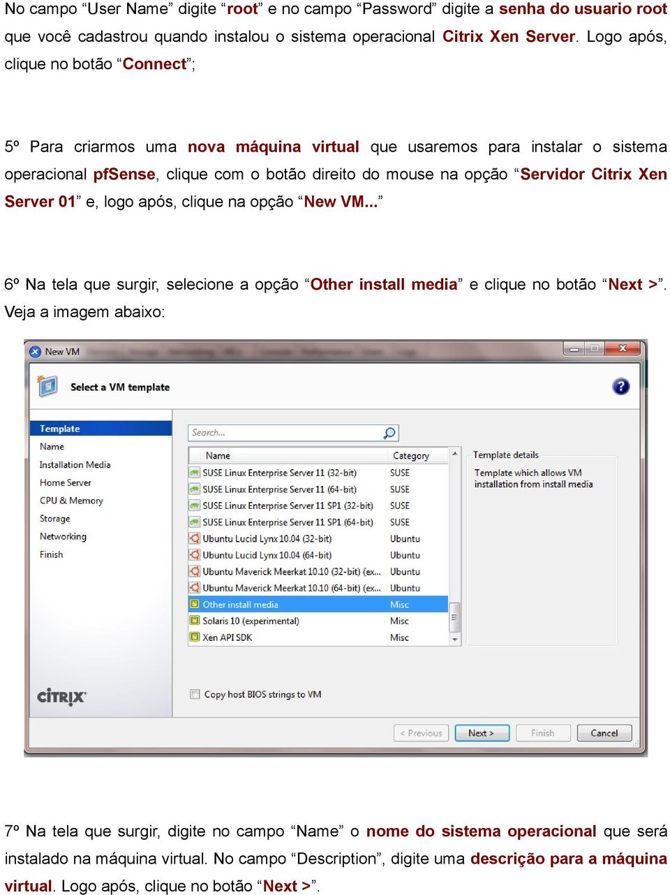 Servidor Citrix Xen Server 01 e, logo após, clique na opção New VM... 6º Na tela que surgir, selecione a opção Other install media e clique no botão Next >.