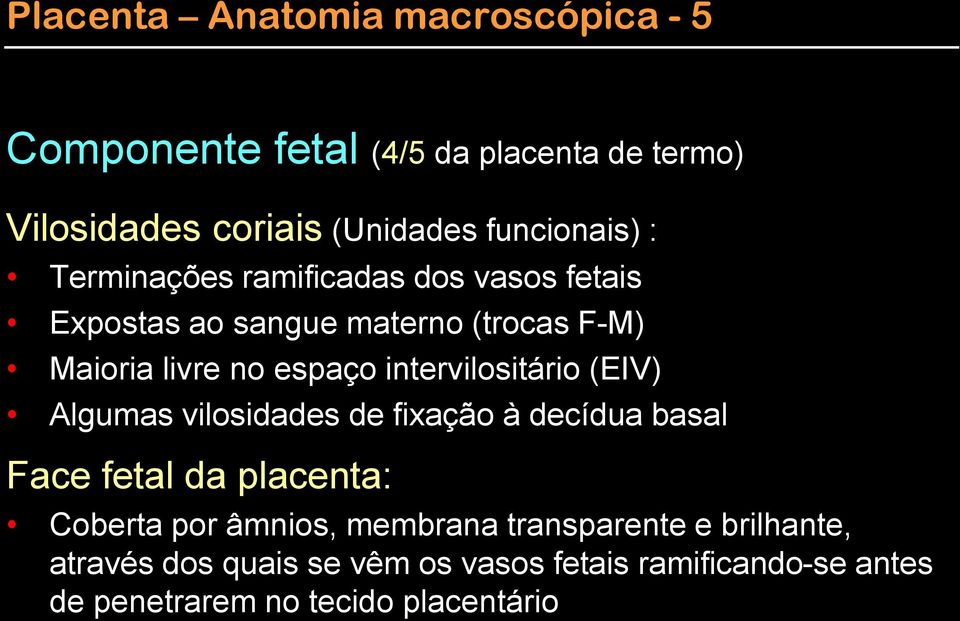 intervilositário (EIV) Algumas vilosidades de fixação à decídua basal Face fetal da placenta: Coberta por âmnios,