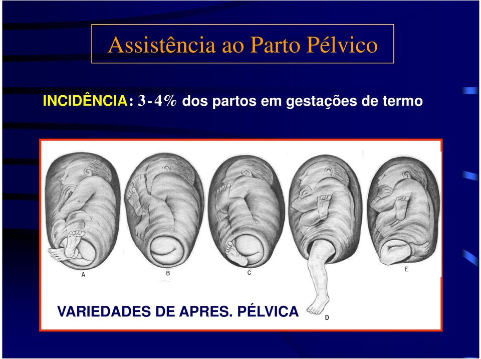 gestações de termo