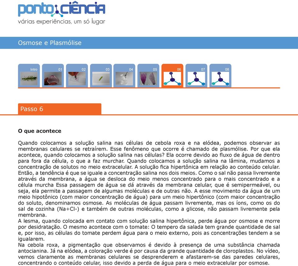 Ela ocorre devido ao fluxo de água de dentro para fora da célula, o que a faz murchar. Quando colocamos a solução salina na lâmina, mudamos a concentração de solutos no meio extracelular.