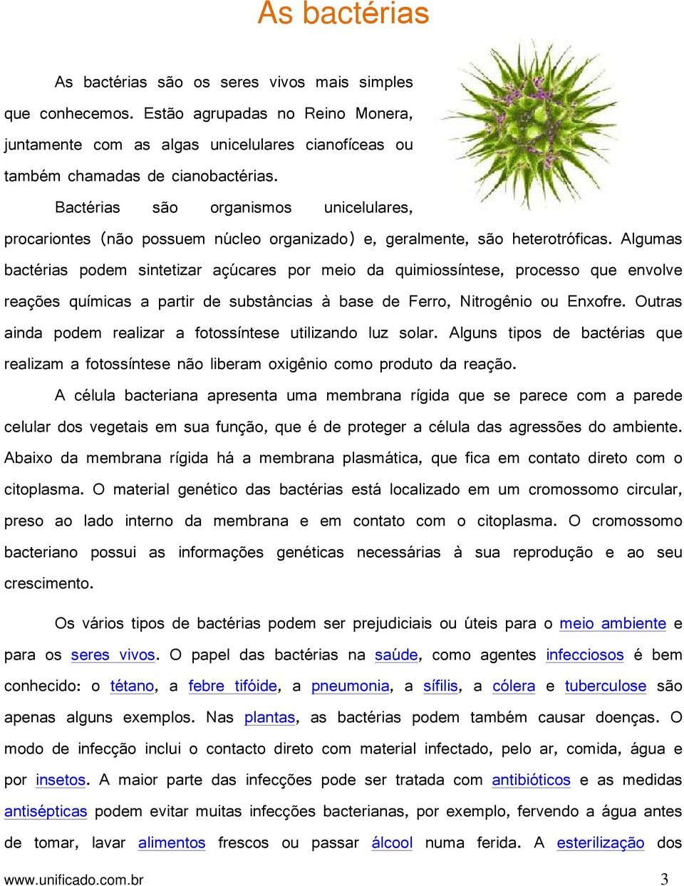 Algumas bactérias podem sintetizar açúcares por meio da quimiossíntese, processo que envolve reações químicas a partir de substâncias à base de Ferro, Nitrogênio ou Enxofre.