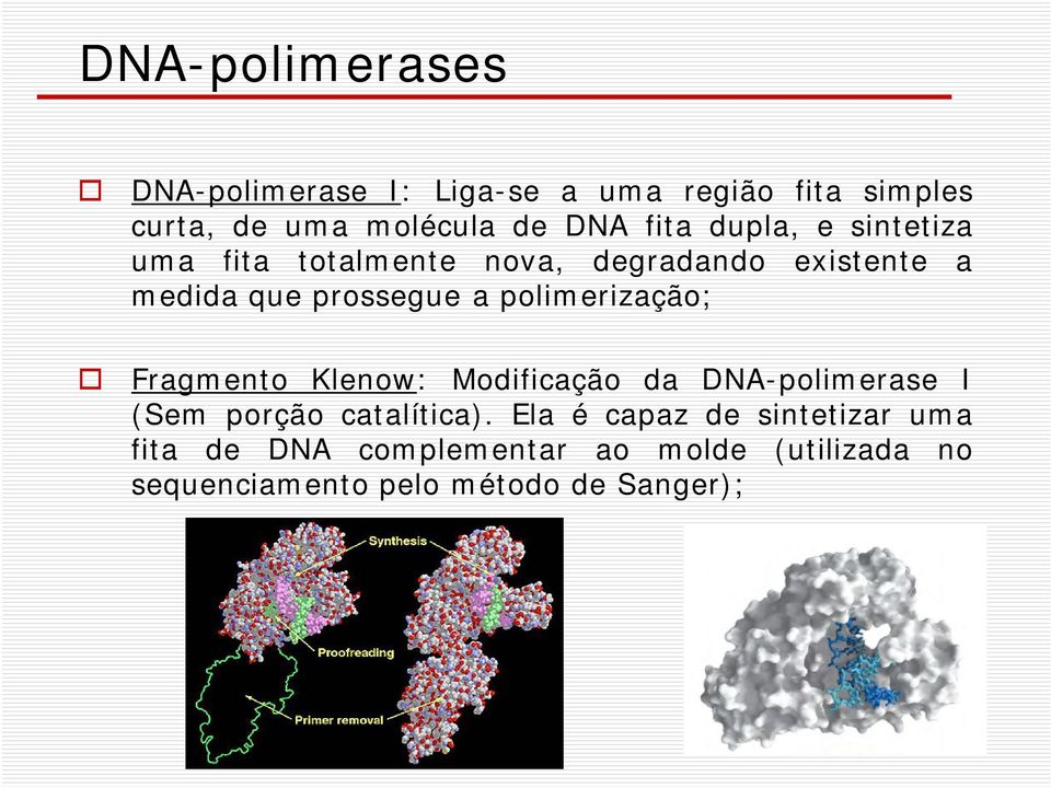 polimerização; Fragmento Klenow: Modificação da DNA-polimerase I (Sem porção catalítica).